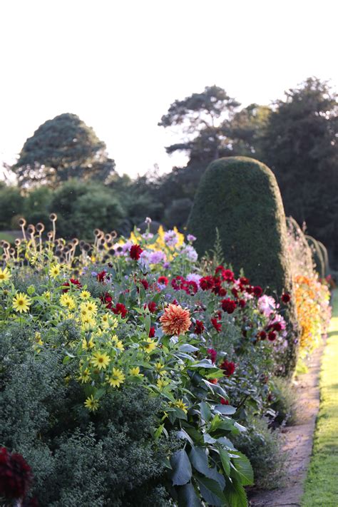 Forde Abbey & Gardens | English cottage garden, Cottage garden, Outdoor ...