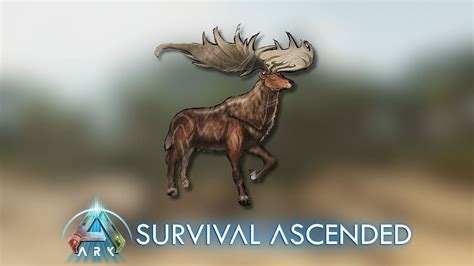 ARK Survival Ascended Megaloceros taming guide