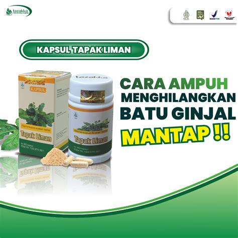 Jual Obat Liver Exstrak Tapak Liman Tazakka Dengan Bentuknya Yang