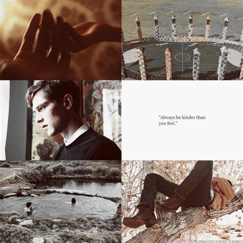 Cedric Diggory X Remember If The Time Should Come When You Have To