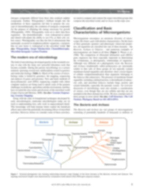 SOLUTION Microbiology Historical Roots Studypool