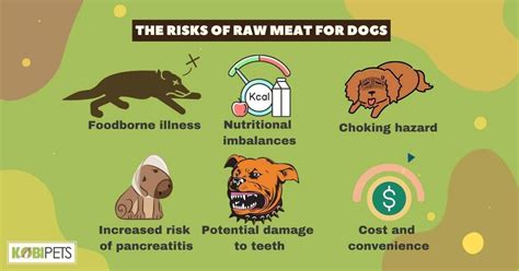 Is Raw Meat Safe For Dogs To Eat Understanding The Risks And Benefits