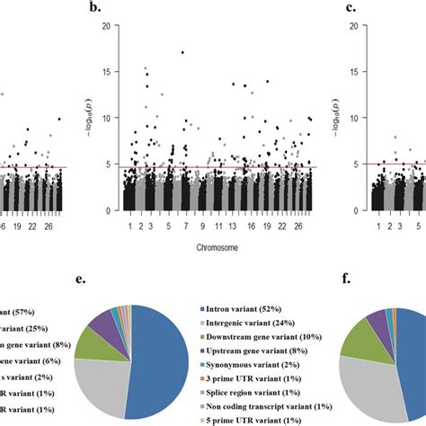 Cis Eqtl Analysis Ab Pb Cis Eqtls Identified Within 05 A And 1 Download Scientific