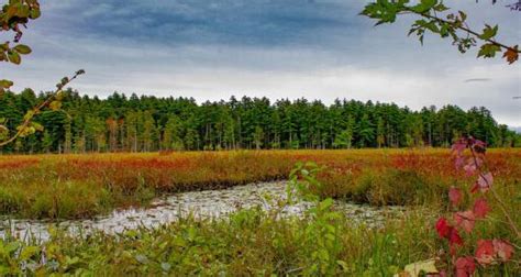 Campground Details - Pawtuckaway State Park, NH - New Hampshire ...