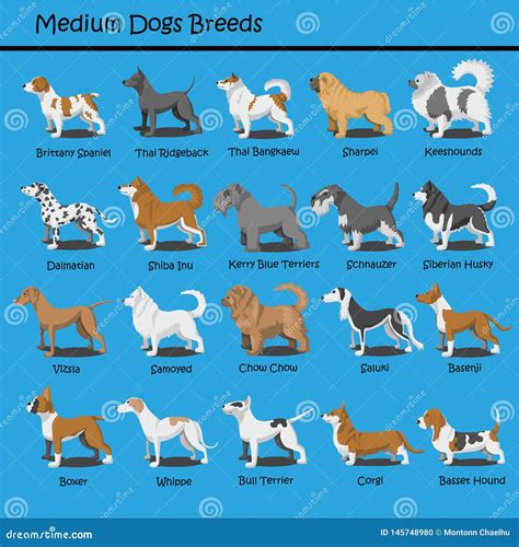 Medium Dog Breeds Dog Cute Cartoon Design Vector Puppy Dog Cartoons Design Stock Vector ...