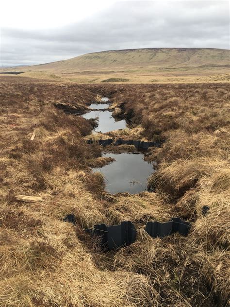 Forth Rivers Trust Support Farmer to Restore Peat Bog | Forth Rivers Trust