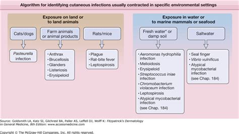 Miscellaneous Bacterial Infections With Cutaneous Manifestations Plastic Surgery Key