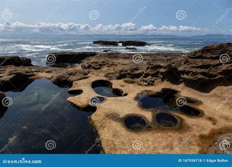 Botanical Beach Port Renfrew Vancouver Island British Columbia