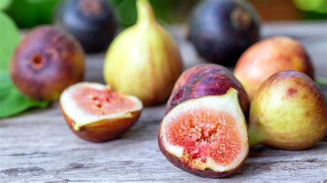 How to Plant, Grow, and Care For 'Brown Turkey' Figs