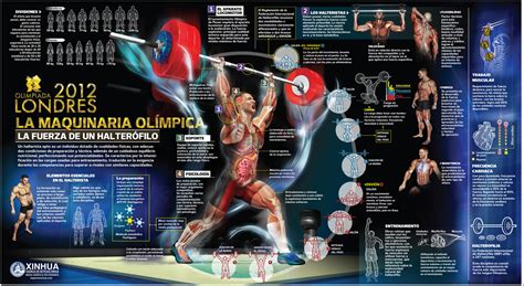 Fundamentos Te Ricos Del Acondicionamiento F Sico Capacidades