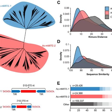 Genome Wide Presence And Absence Variation PAV Analysis Between The