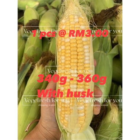 100 CAMERON HIGHLANDS PEARL CORN JAGUNG MUTIARA ORIGINAL CAMERON