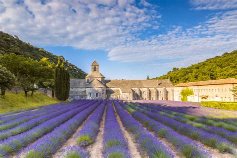 The 10 Best Things to Do in Provence, France