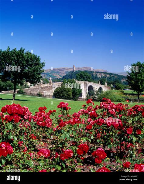scotland stirling city stirling bridge   river  stock