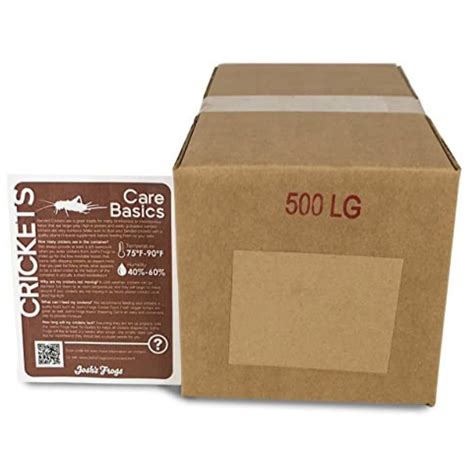 Live Insects Banded Crickets, Adults 1 inch, 500 Count | Petco