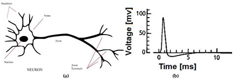 Electronics Free Full Text A Low Power Spike Like Neural Network Design