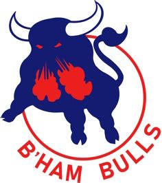 Birmingham Bulls