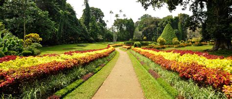 Peradeniya Botanical Garden - Sri Lanka