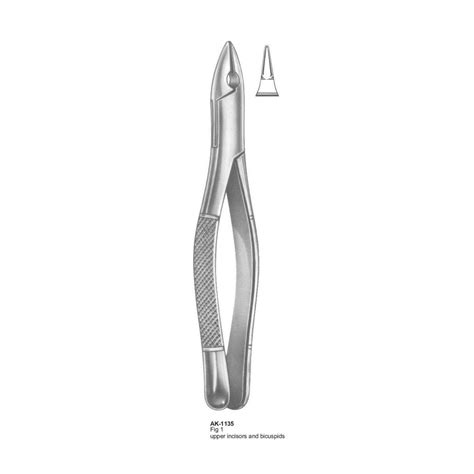 Upper Incisors And Bicuspids Forceps Akhyar Surgical