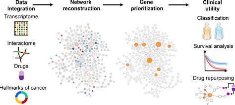 A Network Medicine Approach For Identifying Diagnostic And Prognostic