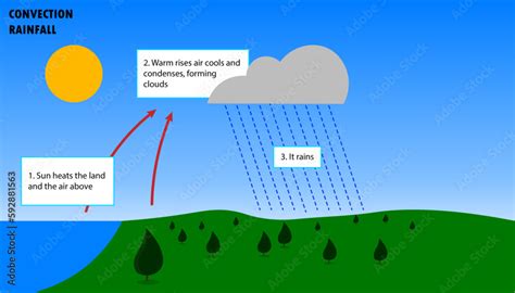 Vecteur Stock Convection type of rainfall, diagram of how orographic ...