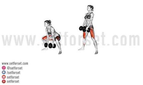 How to Do The Dumbbell Deadlift Correctly - SET FOR SET