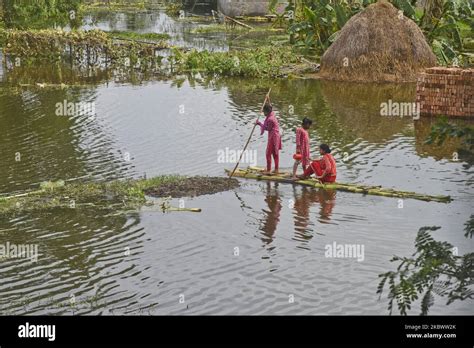 Village Woman Ride On Makeshift Raft Made Of Banana Trees In The Flood