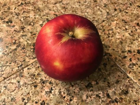 Arkansas Black Apple Review - Selective Elective