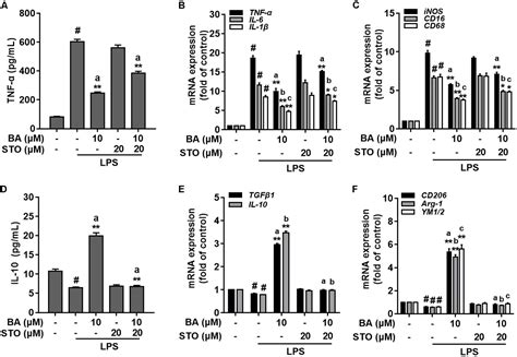 Frontiers Inhibitory Effects Of Betulinic Acid On Lps Induced