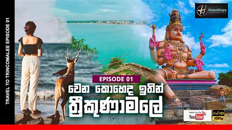 Trincomalee Sri Lanka Travel Guide I episode 01 I වන කහද ඉතන ත