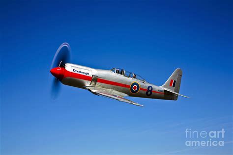 A Hawker Sea Fury Tmk20 Dreadnought Photograph By Scott Germain Pixels