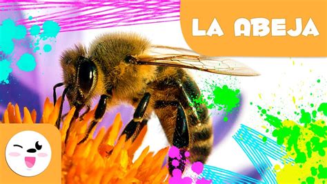 La fascinante información sobre las abejas para niños de primaria