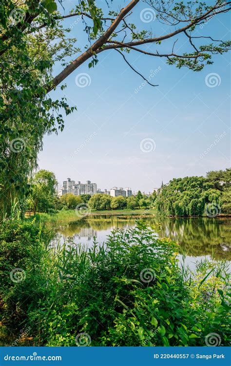 Ilsan Lake Park and Modern Buildings in Goyang, Korea Stock Image ...