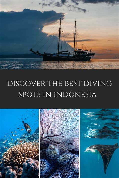 diving spots  indonesia