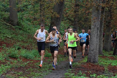 Zdjęcia Grand Prix Biegów w Gminie Kostrzyn