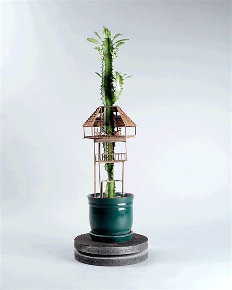 Tiny Treehouses In Houseplants Designs And Ideas On Dornob