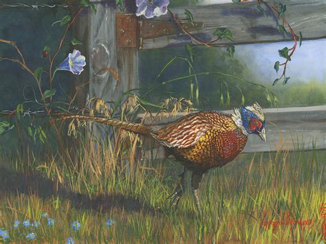 Ringneck Pheasant Painting by Jeff Brimley