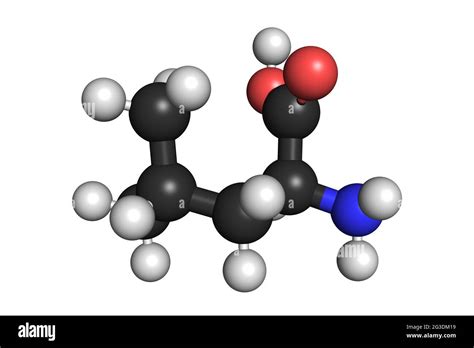 L Leucine Amino Acid Bcaa Molecule D Render Chemical Structure Stock