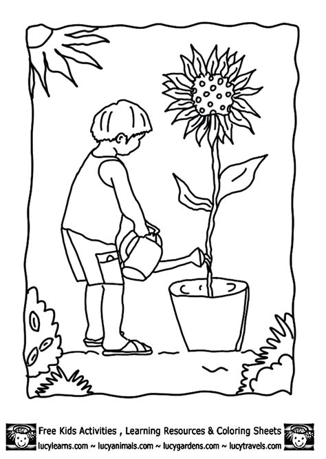 Plant Coloring Pages For Kids - Coloring Home