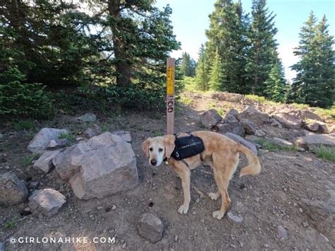 Hiking to Delano Peak, Tushar Mountains – Girl on a Hike