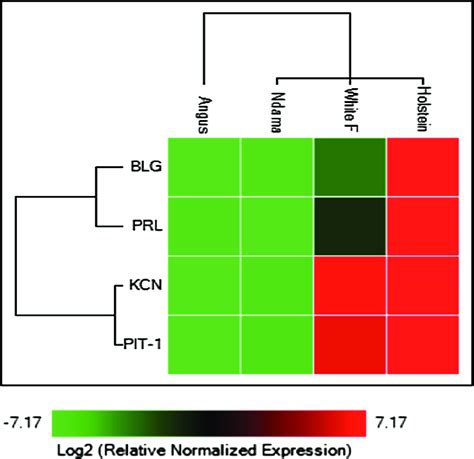 Heat Map Showing The Mrna Expression Of Four Genes In Four Breeds Using Download Scientific