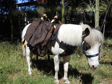 Mini Horse Pack Saddle Large Adjustable