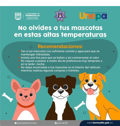 Polic A Municipal De Hermosillo On Twitter Bubu Les Recuerda Que No