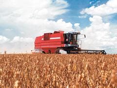 Agrural Mais rápida da história colheita da safrinha de milho chega a