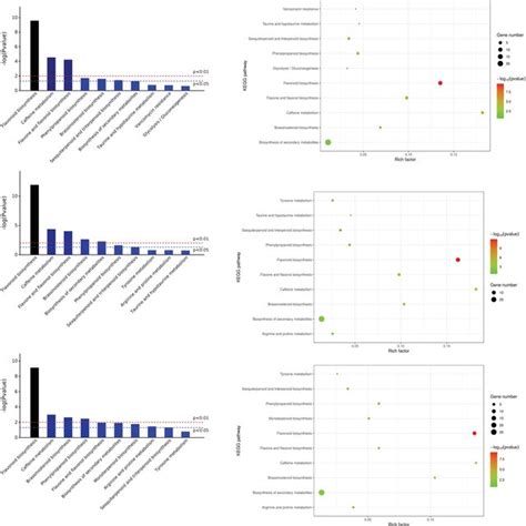 Distribution Graph Of Differential Metabolites In Different Metabolic