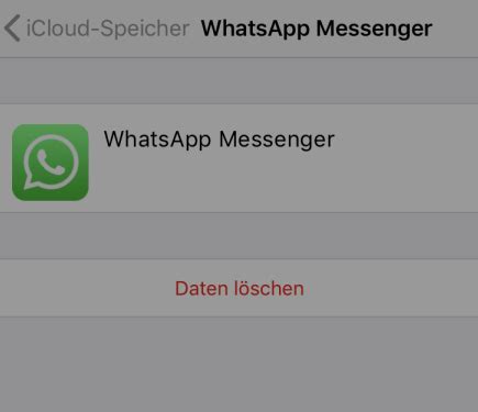 5 Wege Wie kann man WhatsApp Nachrichten dauerhaft löschen