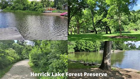 Herrick Lake Forest Preserve Youtube