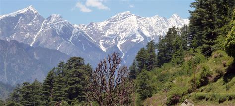 🎉 Mountain vegetation in india. Mountain Ranges of India, Hill Range ...