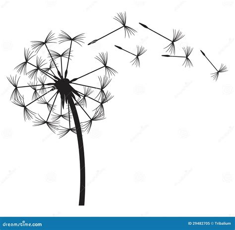 Dandelion Silhouette Vector Free