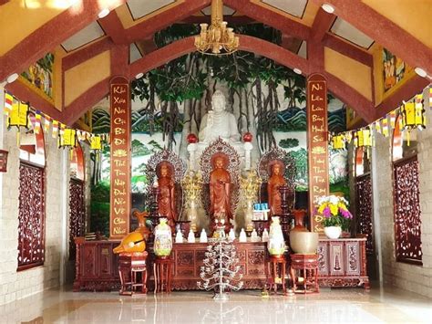 trekking nui dinh vung tau ngam canh mong mo va tham quan tuyet dep
